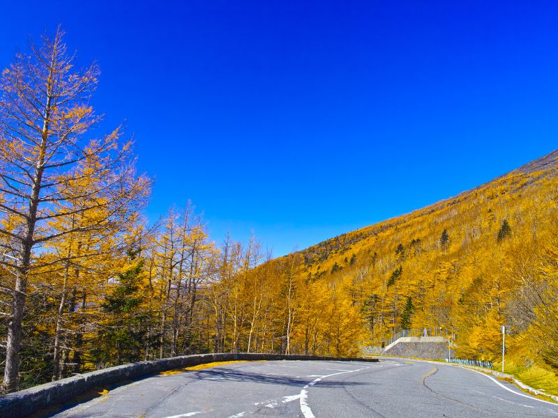 Fujinomiya scenic road views in autumn with stunning colours in Japan