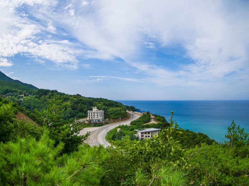 Gangneung coastal views overlooking the water 