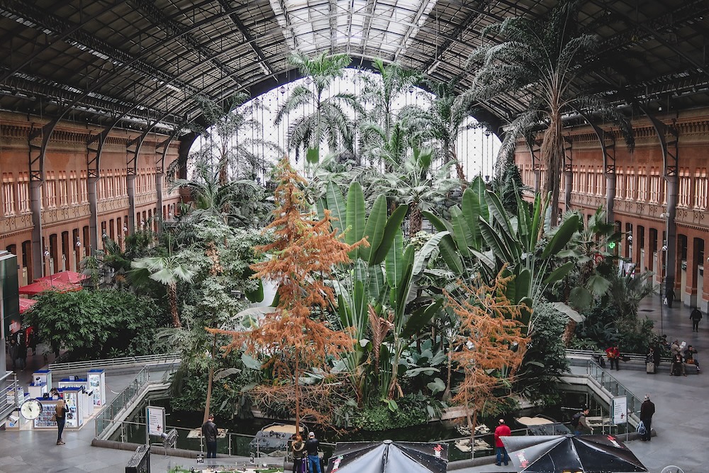 Garden inside the Madrid train stain in Spain 