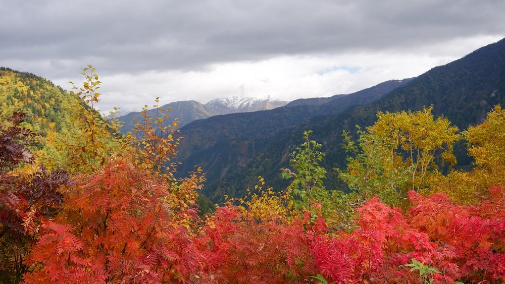 Gorgeous autumn colours in Tateyama-Kurobe alpine crossing in rural Japan 