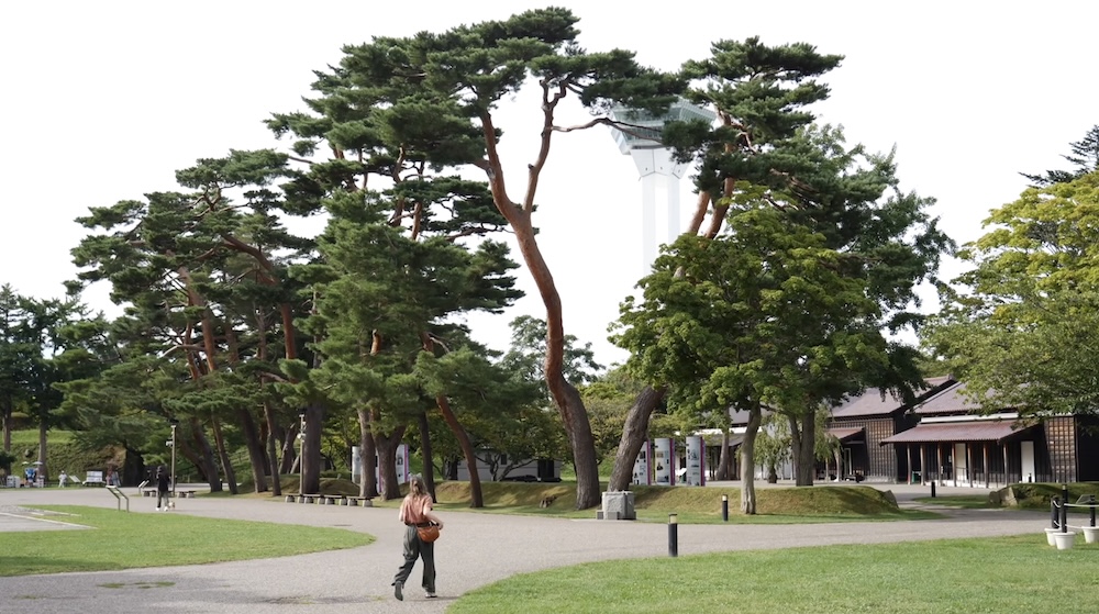 Audrey Bergner Walking Through Goryokaku Park in Hakodate Hokkaido Japan Among Pine Trees and Garden Paths Audrey Bergner walking along a paved path through Goryokaku Park in Hakodate, Hokkaido, Japan, surrounded by open lawns and tall pine trees, with traditional-style buildings and part of Goryokaku Tower visible behind the greenery.