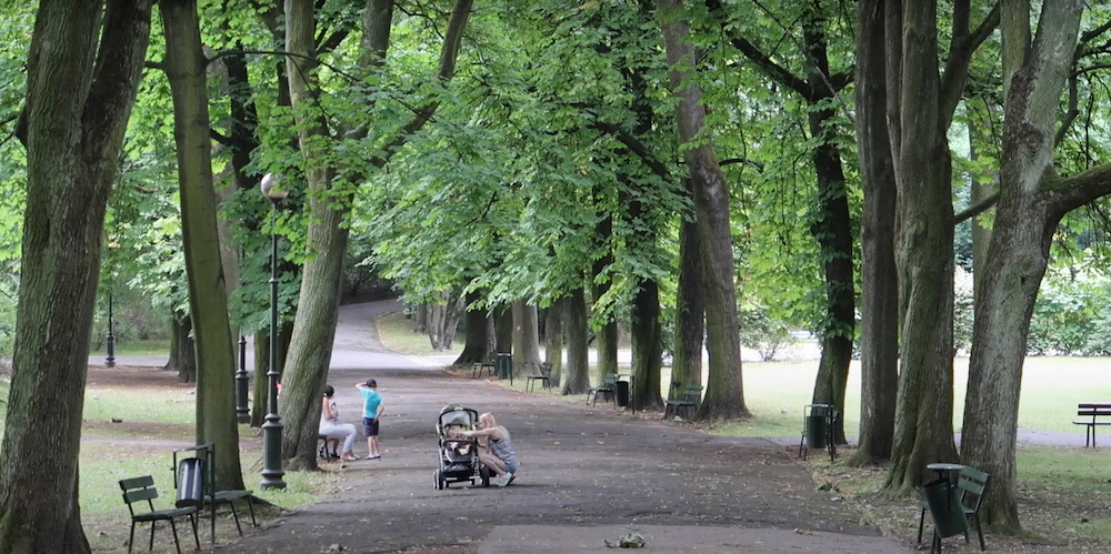 Green sapce with families enjoying leisure time at Park Bednarskiego Park im. Wojciecha Bednarskiego in Krakow, Poland 