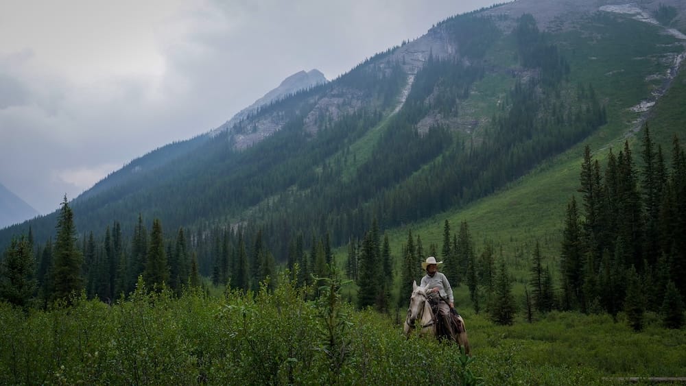 Guide on horseback, mountain valley, Banff Trail Riders backcountry trek, Alberta, Canada A guide rides on horseback through a lush green valley surrounded by forested mountains in Banff National Park, Alberta, Canada, on a Banff Trail Riders backcountry horseback trek.