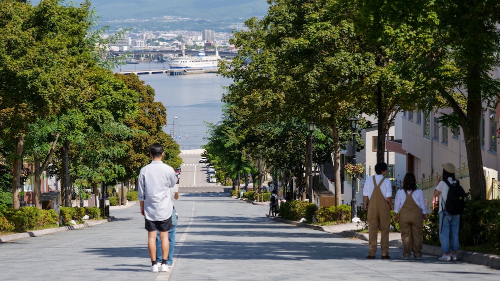 Tourists Viewing Hakodate Harbour and Mashu-maru Ferry from Hachimanzaka Slope, Motomachi, Hokkaido, Japan Tourists standing along Hachimanzaka Slope in Hakodate, Hokkaido, Japan, with one person photographing the view down the steep, tree-lined street toward the harbour, Mashu-maru ferry and distant waterfront buildings.