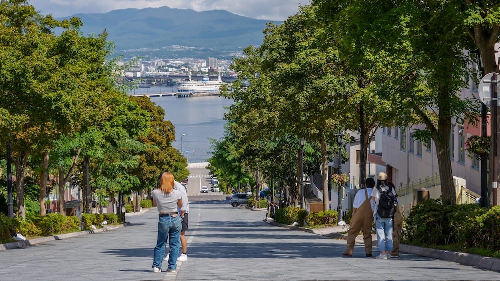 Visitors pause on Hachimanzaka, a tree-lined stone-paved slope in Hakodate, Hokkaido, Japan, looking down toward the harbour, a moored ferry, the far shore and hazy mountains on a sunny day.