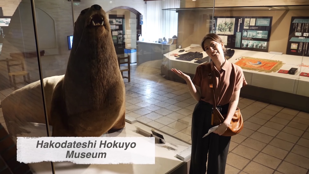 Audrey Bergner Beside a Sea Lion Exhibit at Hakodate City Northern Pacific Fishery Museum, Hokkaido, Japan Audrey Bergner gestures toward a large preserved sea lion displayed behind glass at the Hakodate City Northern Pacific Fishery Museum in Hokkaido, Japan, with historical exhibits and maritime artifacts in the background.