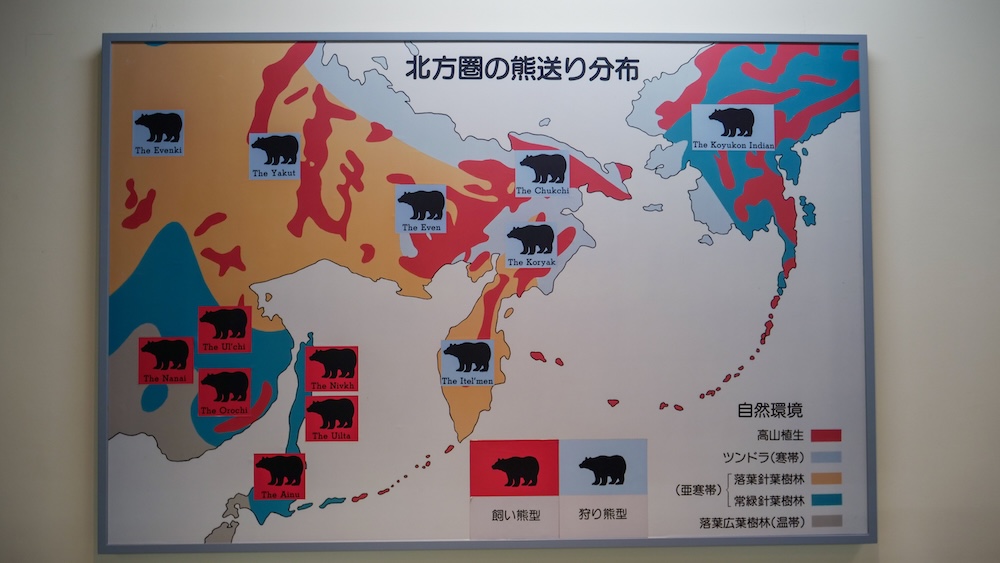 Colour-coded bear distribution map displayed at the Hakodate Museum of Northern Peoples in Hokkaido, Japan, showing northern Indigenous communities, bear silhouettes, geographic regions and Japanese explanatory labels.