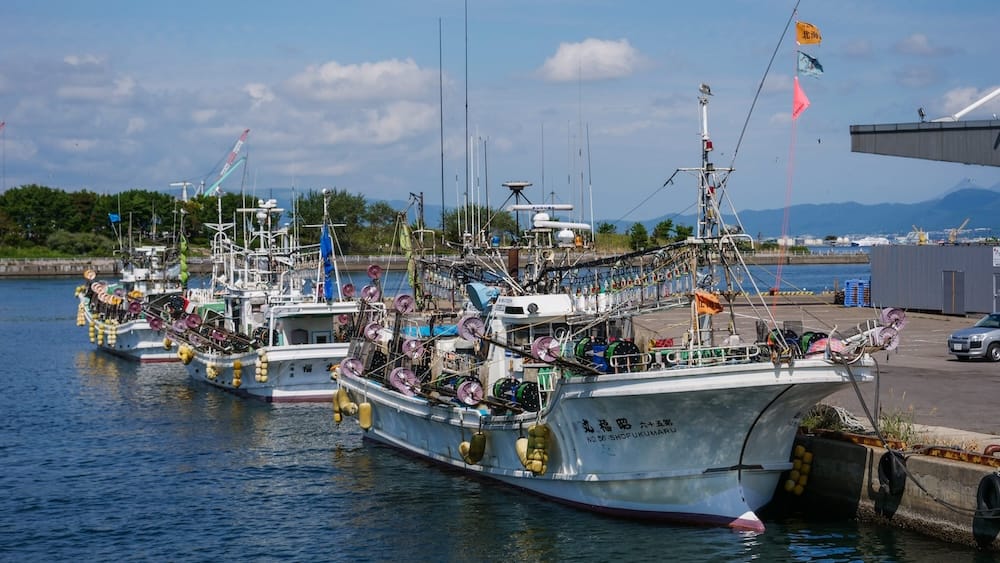 Several working fishing boats are moored along the Hakodate waterfront in Hokkaido, Japan, with rigging, harbour water and distant mountains visible beneath a partly cloudy blue sky.