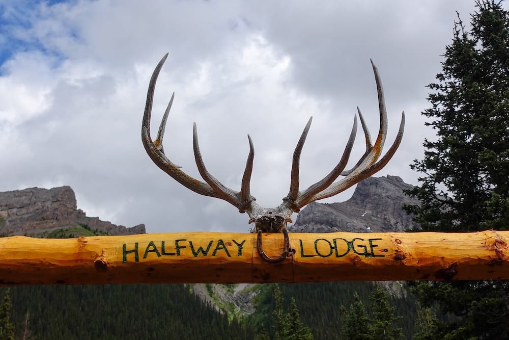 Cartel con astas de Halfway Lodge en el Parque Nacional Banff, Alberta, Canadá, enmarcado por las Montañas Rocosas Astas montadas sobre un cartel pintado a mano de Halfway Lodge, en el Parque Nacional Banff, Alberta, Canadá, con escarpados picos de las Montañas Rocosas, bosque de coníferas y cielo nublado detrás.