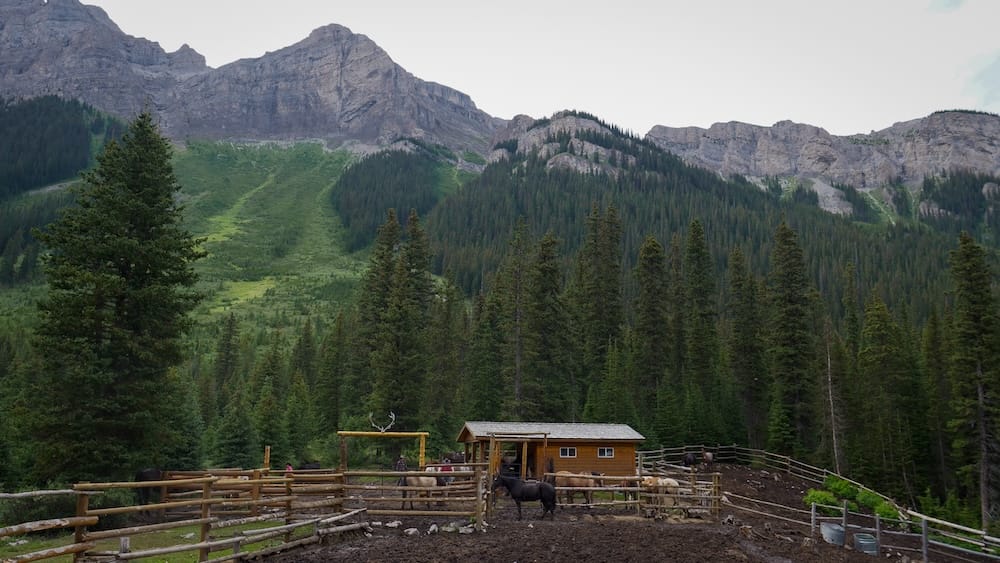 Corrales de caballos de Halfway Lodge en el Parque Nacional Banff, Alberta, Canadá, con la cabaña y la pared montañosa Caballos en los corrales de Halfway Lodge, Parque Nacional Banff, Alberta, Canadá, con la pequeña cabaña de backcountry, bosque de coníferas y empinadas montañas rocosas detrás.