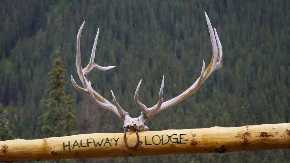 Cartel de Halfway Lodge en el Parque Nacional Banff, Alberta, Canadá, con astas y entorno boscoso de backcountry Cartel de madera de Halfway Lodge en el Parque Nacional Banff, Alberta, Canadá, coronado por grandes astas y rodeado de denso bosque de coníferas en el remoto backcountry montañoso.