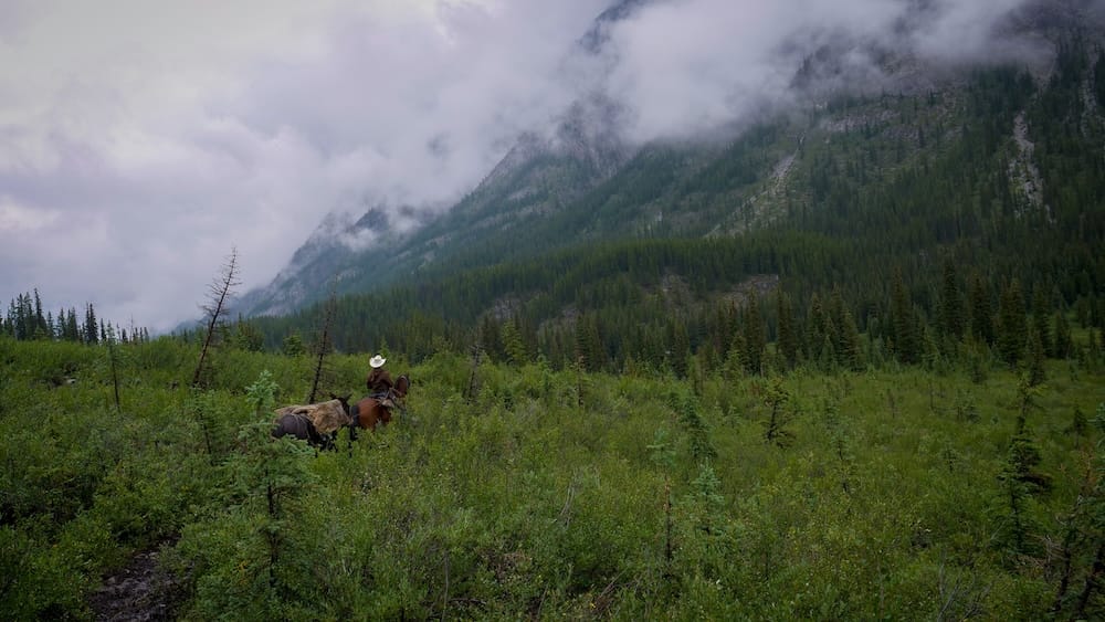 Un jinete atraviesa vegetación verde y densa entre Halfway Lodge y Sundance Lodge, en el Parque Nacional Banff, Alberta, Canadá, con niebla baja sobre empinadas laderas boscosas.