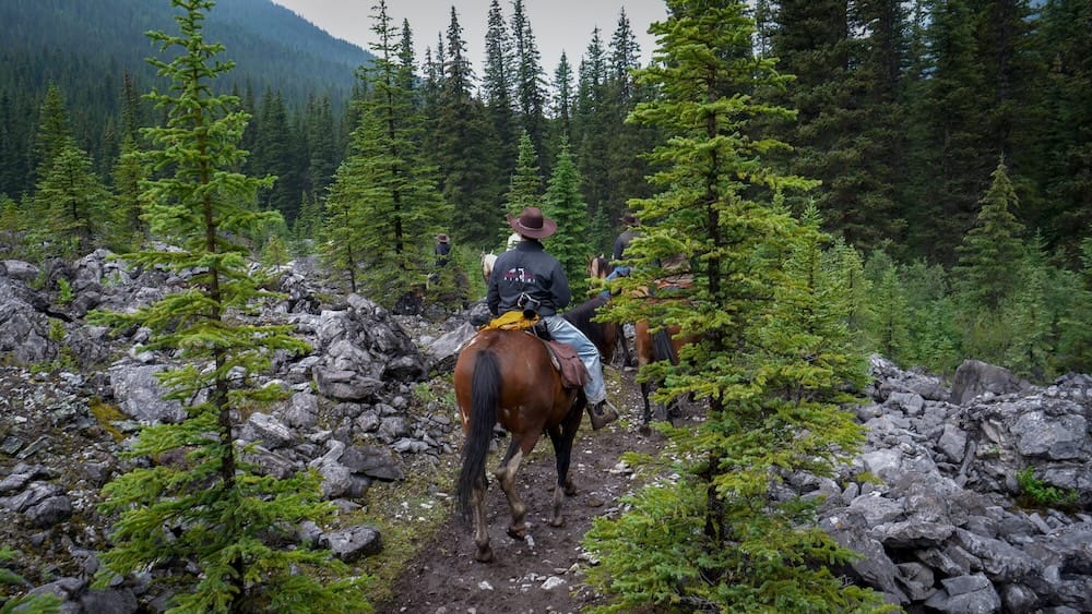 Jinetes siguen un sendero angosto y rocoso entre coníferas en la ruta de regreso desde Halfway Lodge a Sundance Lodge, dentro del Parque Nacional Banff, Alberta, Canadá, con laderas montañosas detrás.