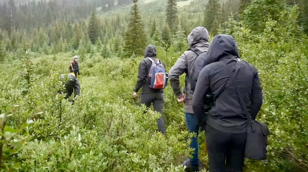 Aproximación inicial llana, sendero al lago Matthias, Halfway Lodge, Parque Nacional Banff, Alberta, Canadá Senderistas con ropa de lluvia caminan en fila india entre arbustos densos en el tramo inicial y llano del sendero al lago Matthias cerca de Halfway Lodge en el Parque Nacional Banff, Alberta, Canadá.