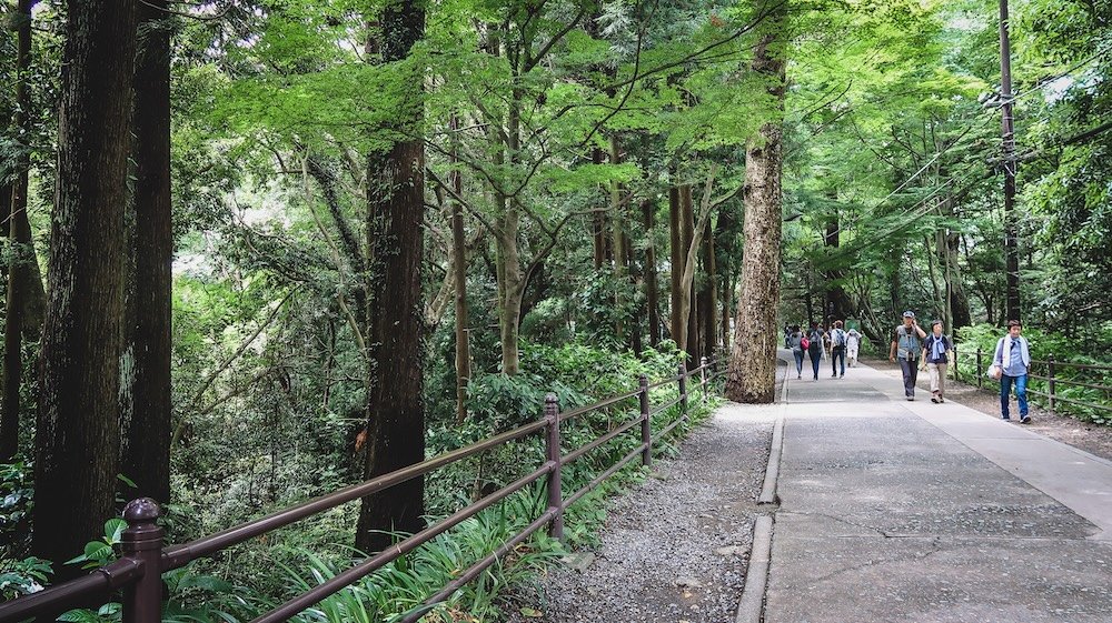 Hiking in Mount Takao activity on the trails in Japan 