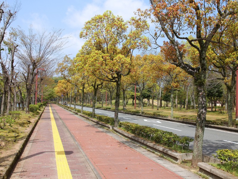Himeji park biking path and walking path in Japan 