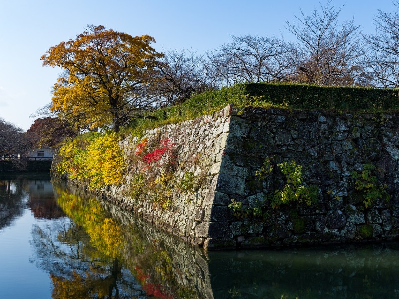 Himeji wall autumn colors in Japan 