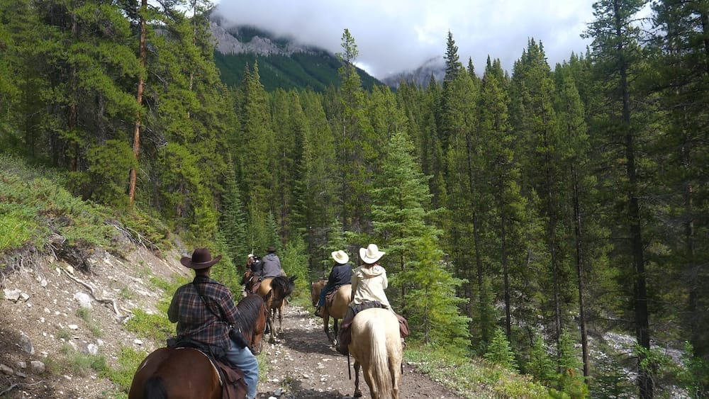 Cabalgata hacia Sundance Lodge por el Parque Nacional Banff, Alberta, Canadá, sobre un sendero boscoso de montaña Jinetes avanzando por un sendero angosto de bosque rumbo a Sundance Lodge, en el Parque Nacional Banff, Alberta, Canadá, con laderas de coníferas y picos de las Rocosas Canadienses cubiertos por nubes al fondo.