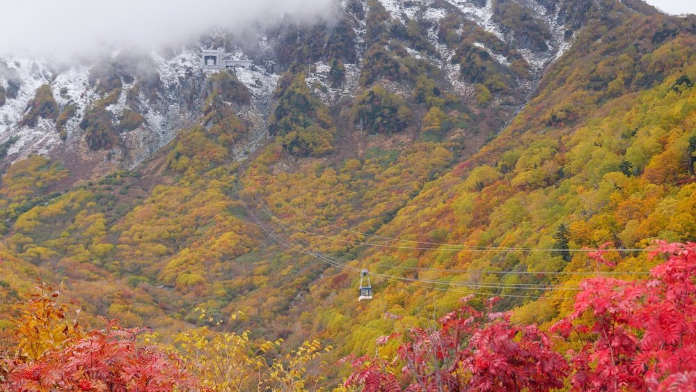 Incredible cable car views from ground level of the cable car coming down from the mountain during peak autumn foliage Tateyama Kurobe Alpine Route 