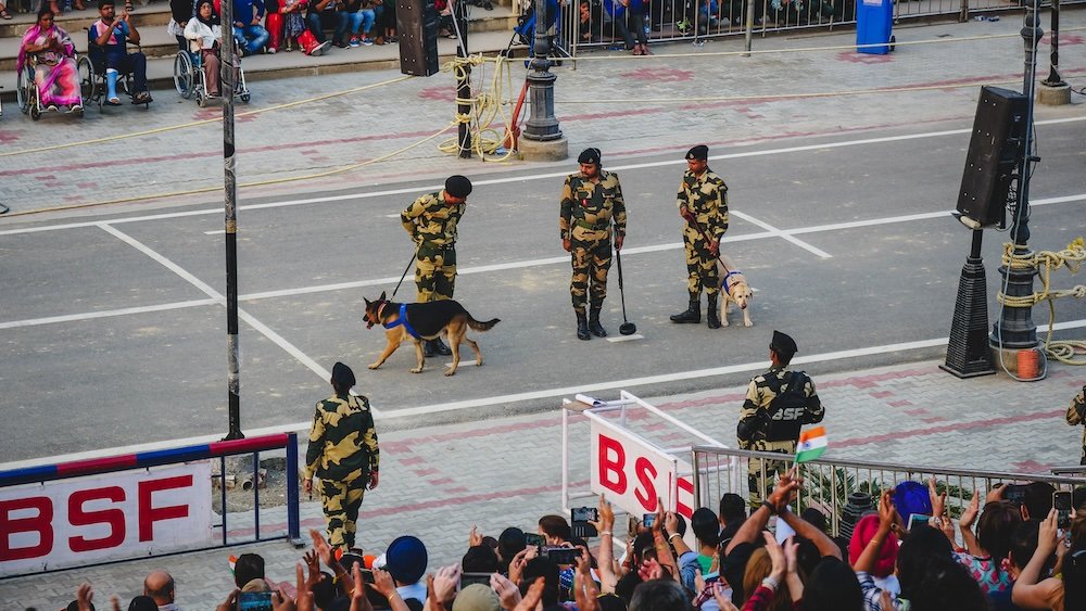 India army guards sniffing dogs at the border closing ceremony 