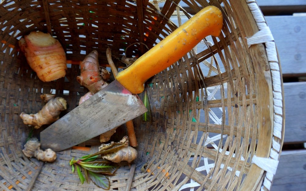 Ingredients for making Thai food cooking class in Chiang Mai, Thailand 