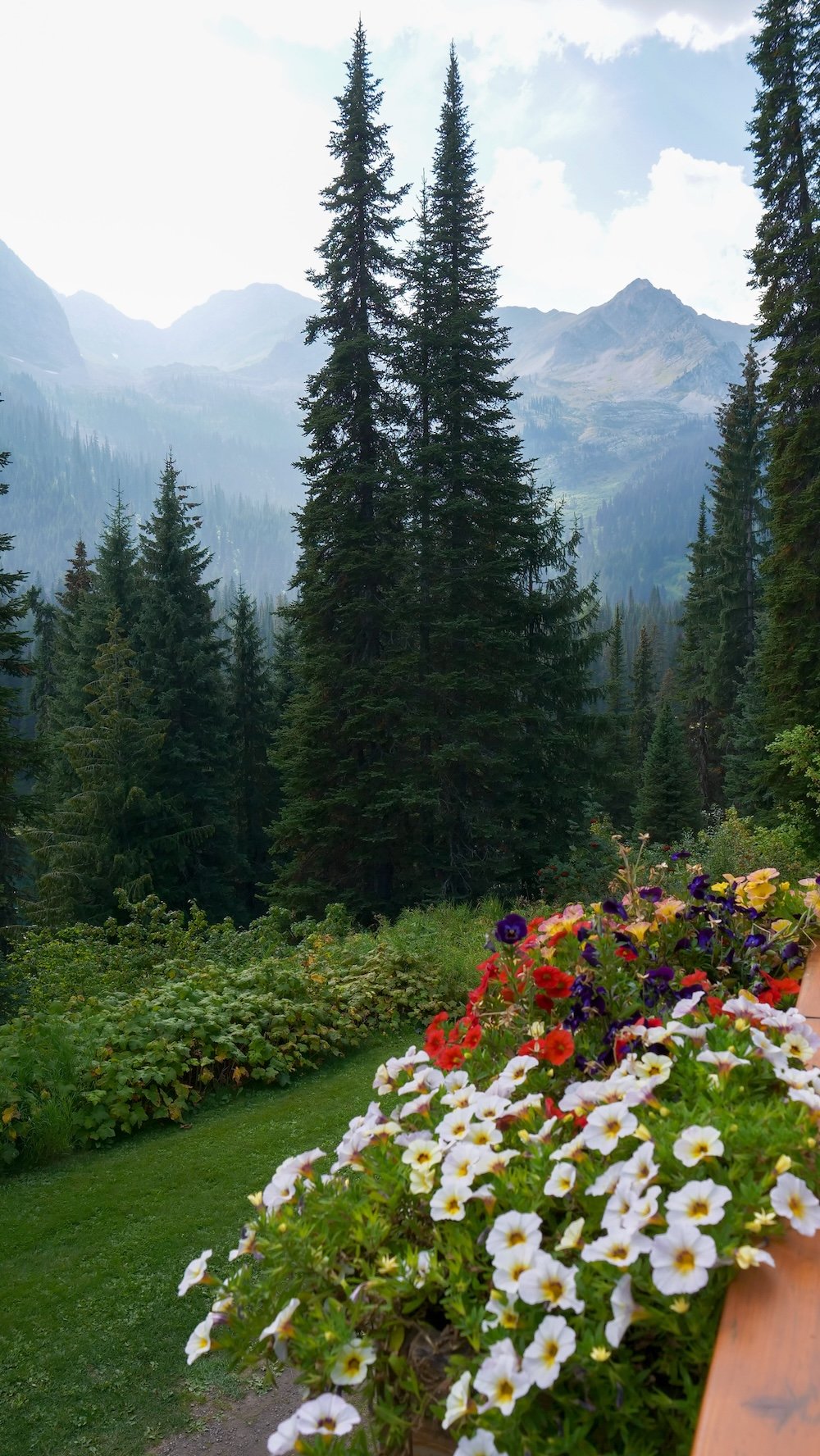 Island Lake Lodge Bear Bistro patio views in Fernie, BC with alpine mountain scenery Island Lake Lodge in Fernie, British Columbia, showcasing sweeping mountain views from the Bear Bistro patio with alpine forest, colorful flowers, and dramatic peaks that make this one of the most scenic dining and relaxation spots in the region.