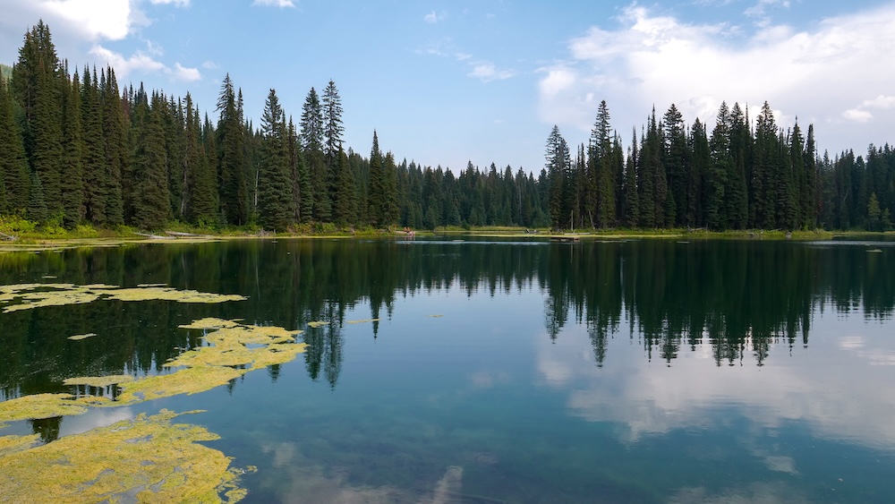 Pristine alpine lake at Island Lake Lodge in Fernie, British Columbia, with glassy water reflecting evergreen forest and blue sky, patches of floating vegetation near the shore, and a peaceful setting that defines the lodge’s iconic summer lake views.
