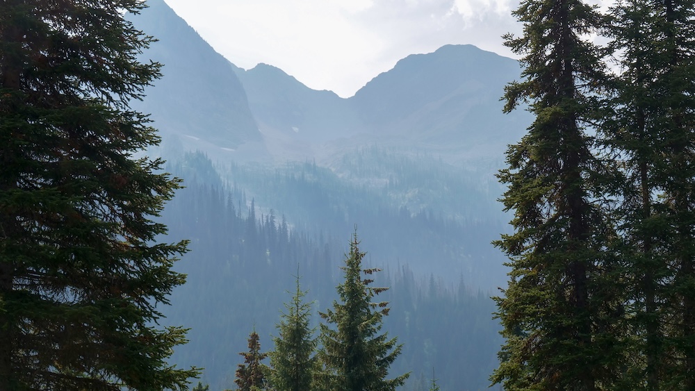 Scenic forest drive toward Island Lake Lodge in Fernie, British Columbia, with towering evergreens, mountain slopes, and dappled light along the access road, setting the tone for a relaxed day trip of hiking, dining, and lake views.
