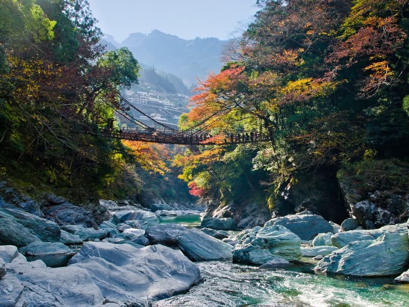 Iya Valley scenic river rivers with a pedestrian bridge with beautiful fall foliage in Japan 