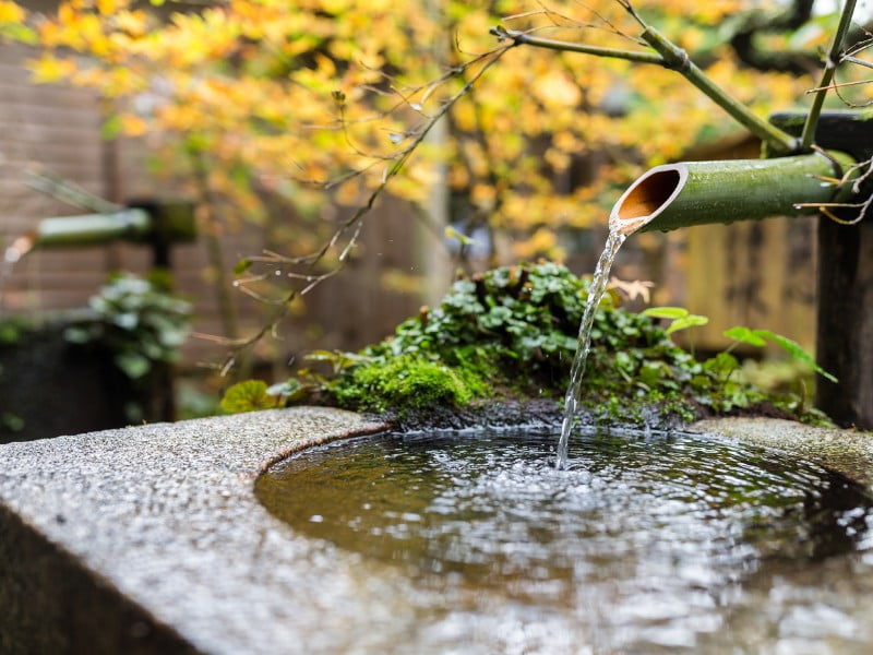 Japan eco-friendly bamboo washbasin in a natural environment 