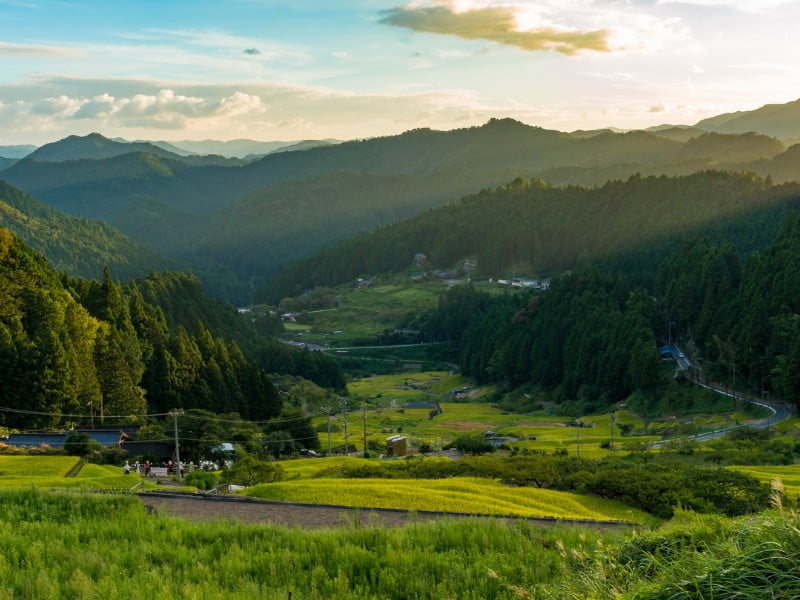 Living Like a Local: Authentic Experiences in Japan’s Countryside