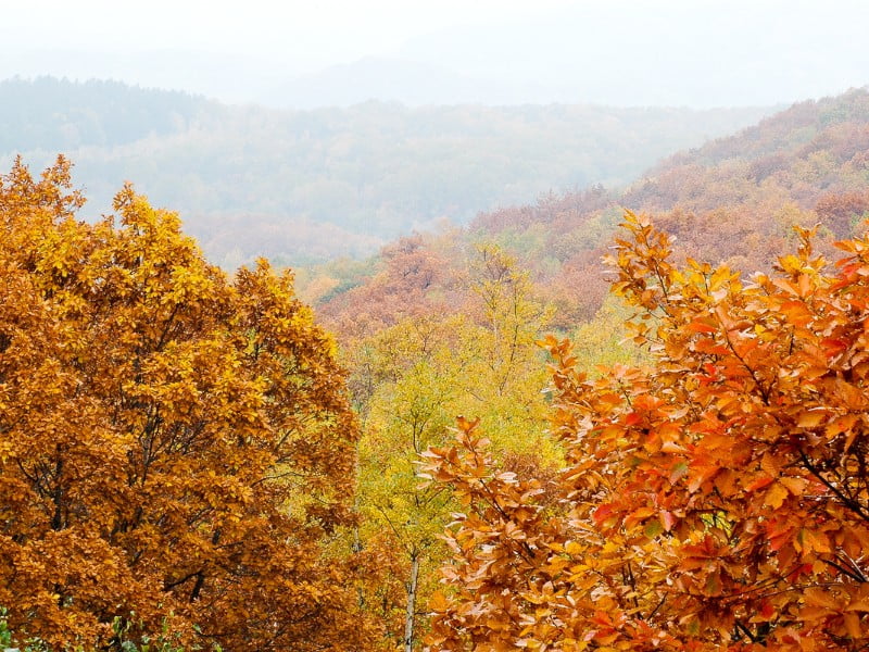 Japan's nature destinations including scenic areas with beautiful autumn colours 