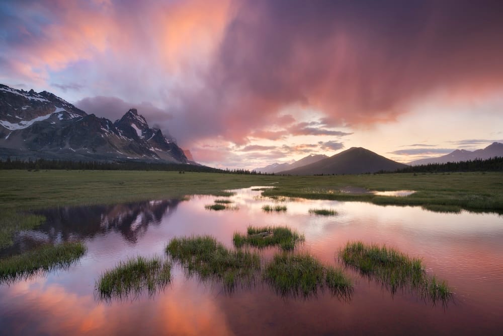 Mountain scenery near Jasper, Alberta, Canada, with rugged peaks, grassy wetlands and reflective pools beneath dramatic pink and purple sunset clouds in the Canadian Rockies.