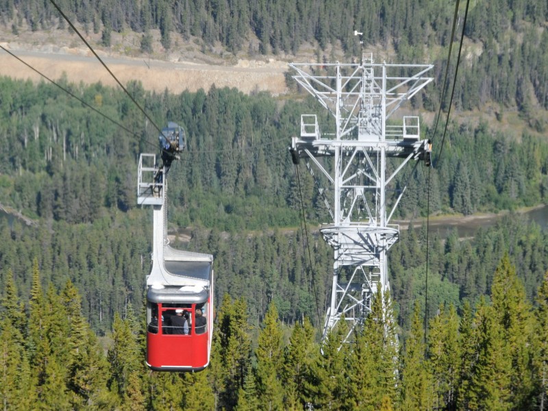 Jasper Tramway offers scenic forest views in Alberta 