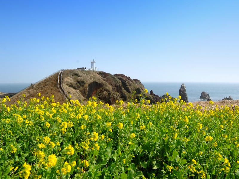 Jeju Do Island is a great place to visit after Jeonju