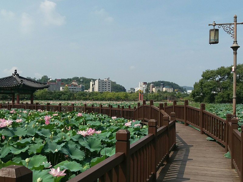 Jeonju Deokin Park walkway in South Korea 