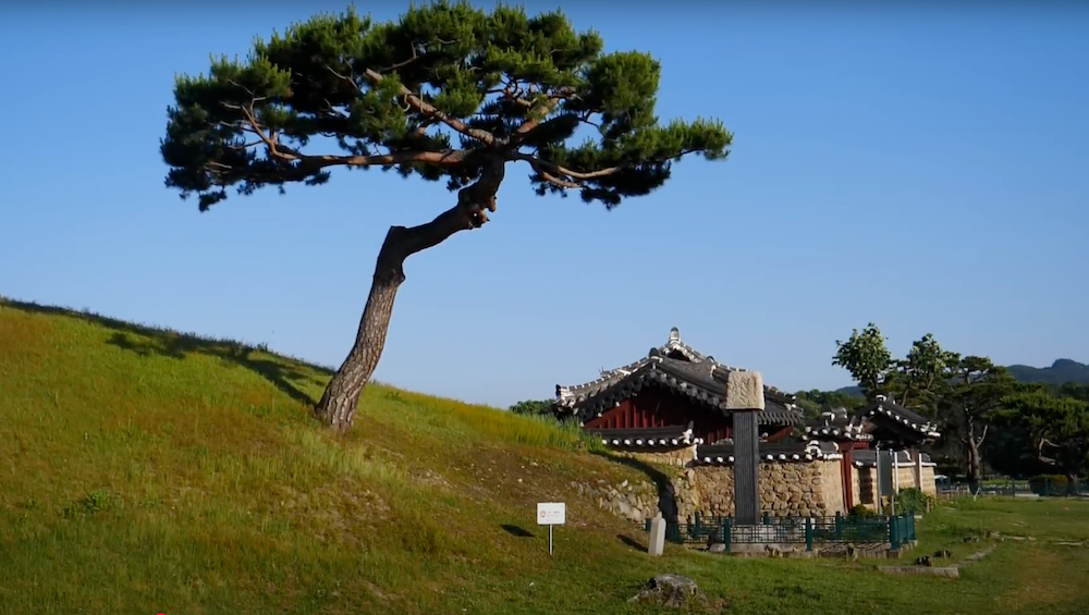 Korean Temple and tree views in Gyeongju, South Korea