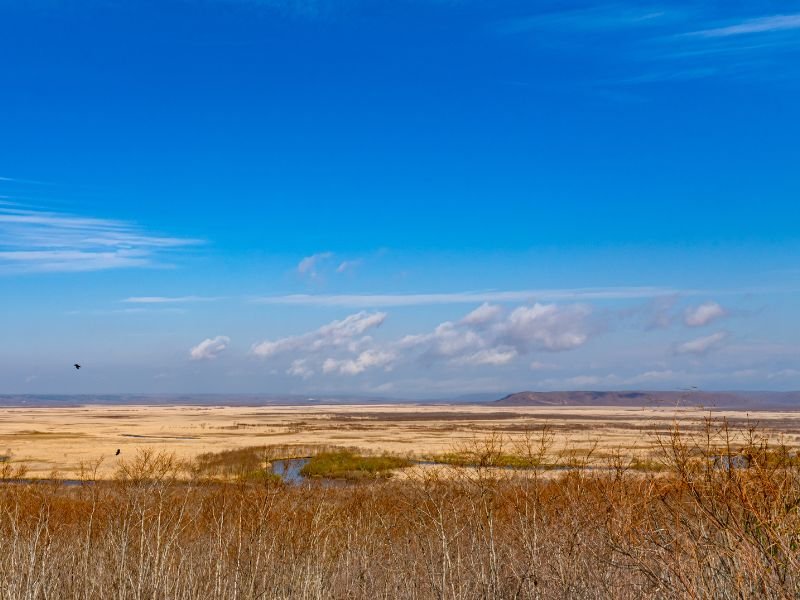 Kushiro Shitsugen national park in Hokkaido on a gorgeous day in spring day