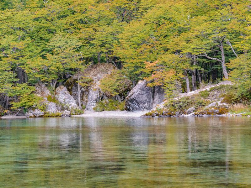 Lago del Desierto near El Chaltén, Patagonia lake day trip Lago del Desierto near El Chaltén, Patagonia, Argentina, with calm emerald water, forested shoreline, and rocky outcrops — a scenic lake destination reached by gravel road and boat crossing for an unforgettable Patagonia day trip
