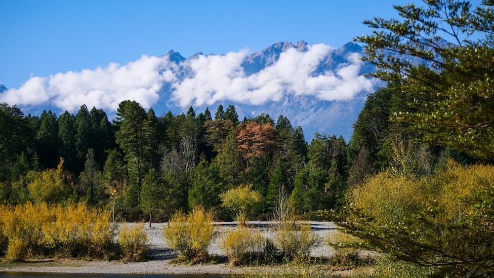 Snow-capped mountains and autumn forest in Lago Puelo National Park Patagonia Argentina Snow-capped mountains rising above golden autumn forest in Lago Puelo National Park Chubut Argentina, with colorful trees, riverbed, and drifting clouds creating a vibrant Patagonian landscape scene.