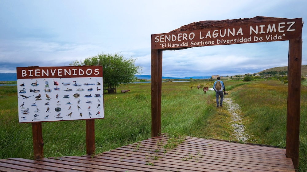 Laguna Nimez bird reserve in El Calafate – easy wildlife day trip from El Chaltén Laguna Nimez reserve in El Calafate, Patagonia, Argentina, with the wooden entrance sign and bird guide board as Nomadic Samuel walks along the wetland trail—an easy and scenic day trip from El Chaltén for wildlife spotting and calm nature escapes.