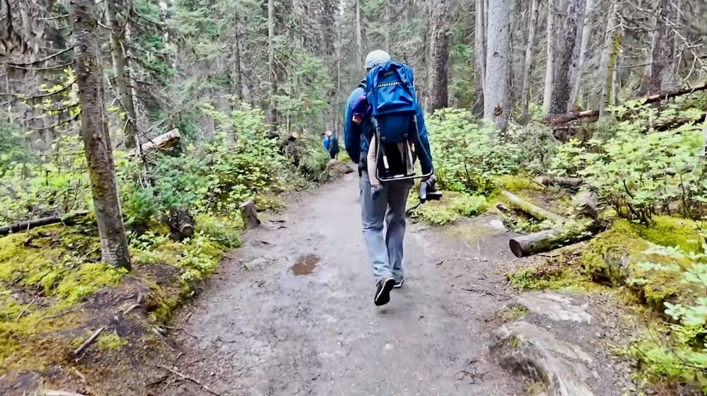 Samuel Jeffery hikes along a forest trail near Lake Louise in Alberta, Canada, carrying a framed child carrier through dense evergreen woodland on a damp mountain path.
