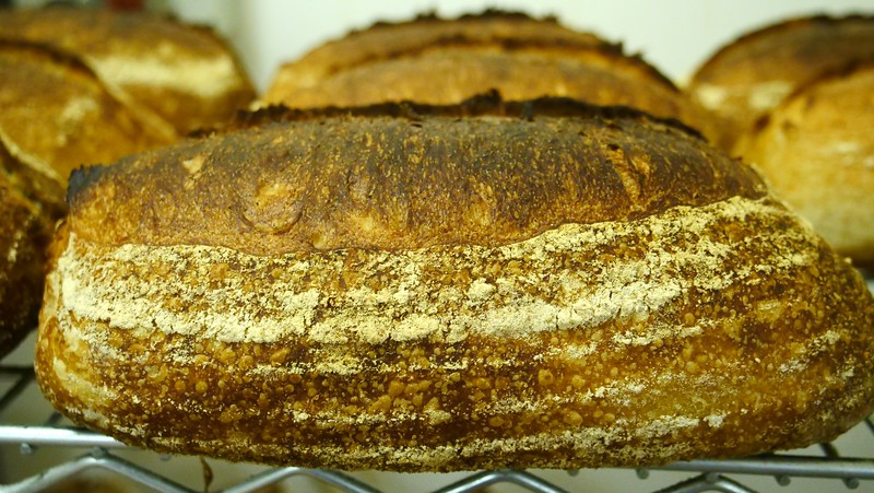 Loaf of sourdough bread from a bakery in Northern Ireland
