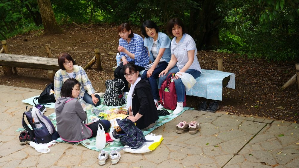 Local Japanese hikers enjoying a picnic in Mount Takao, Japan 