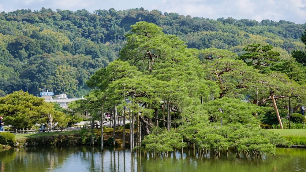 Lush green escape at Kenrokuen Garden as one of the top gardens in Japan and Kanazawa 