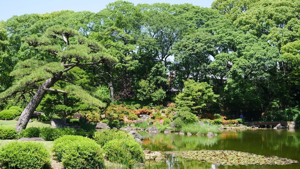 Lush green garden in Osaka, Japan 