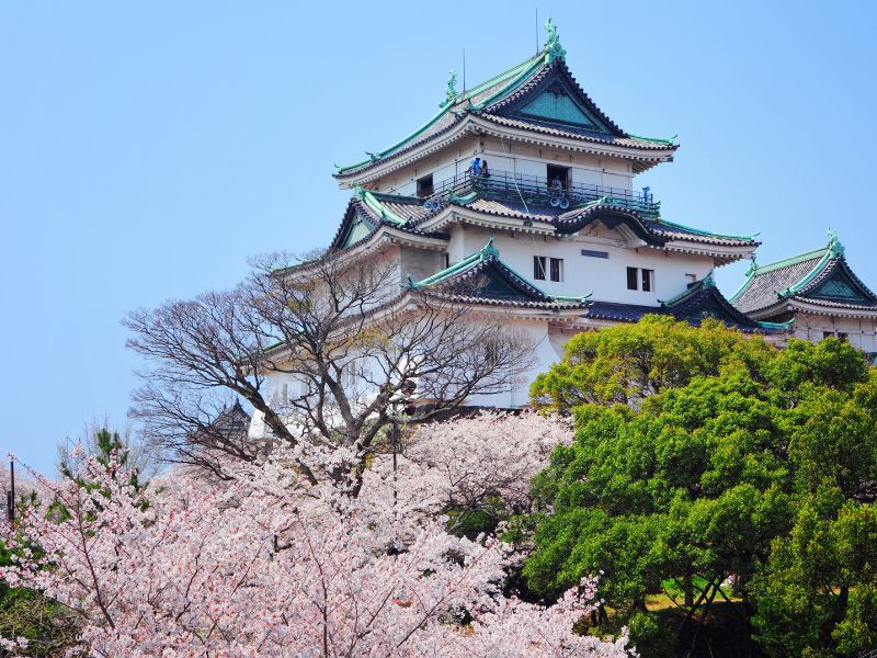 Magnificent Wakayama Castle in Japan 