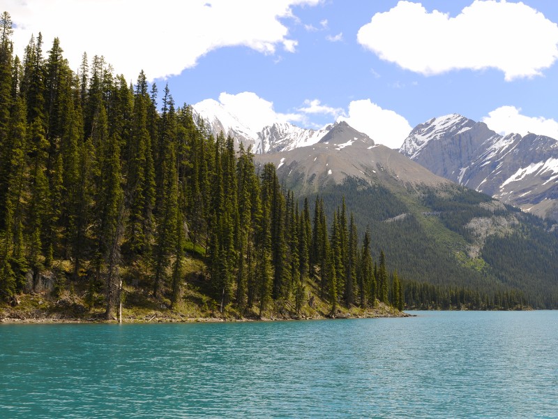 Maligne Lake is an epic day trip from Jasper in Alberta, Canada 