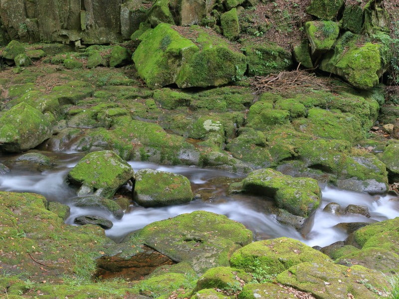 Mie meandering stream with mossy rocks on the side in Japan 