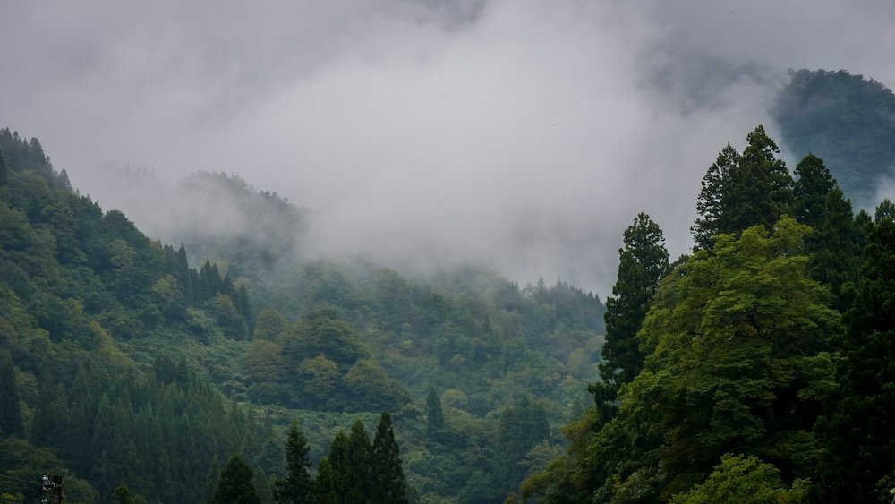 Moody atmospheric views visiting Kiyotsu Gorge, Japan